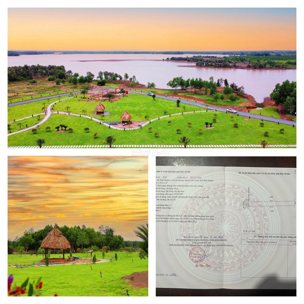 4645816 ảnh đại diện 1