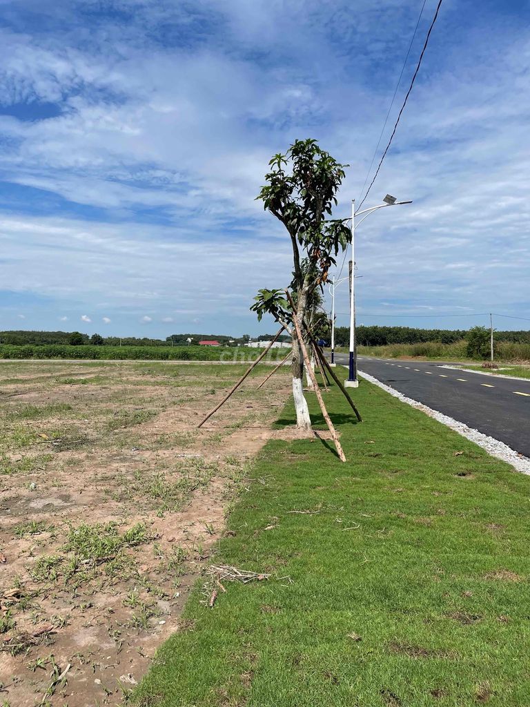 4643209 ảnh đại diện 1