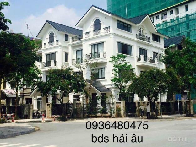 4645515 ảnh đại diện 1