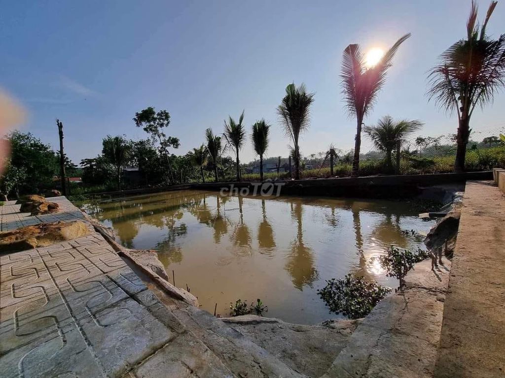 4642983 ảnh đại diện 1