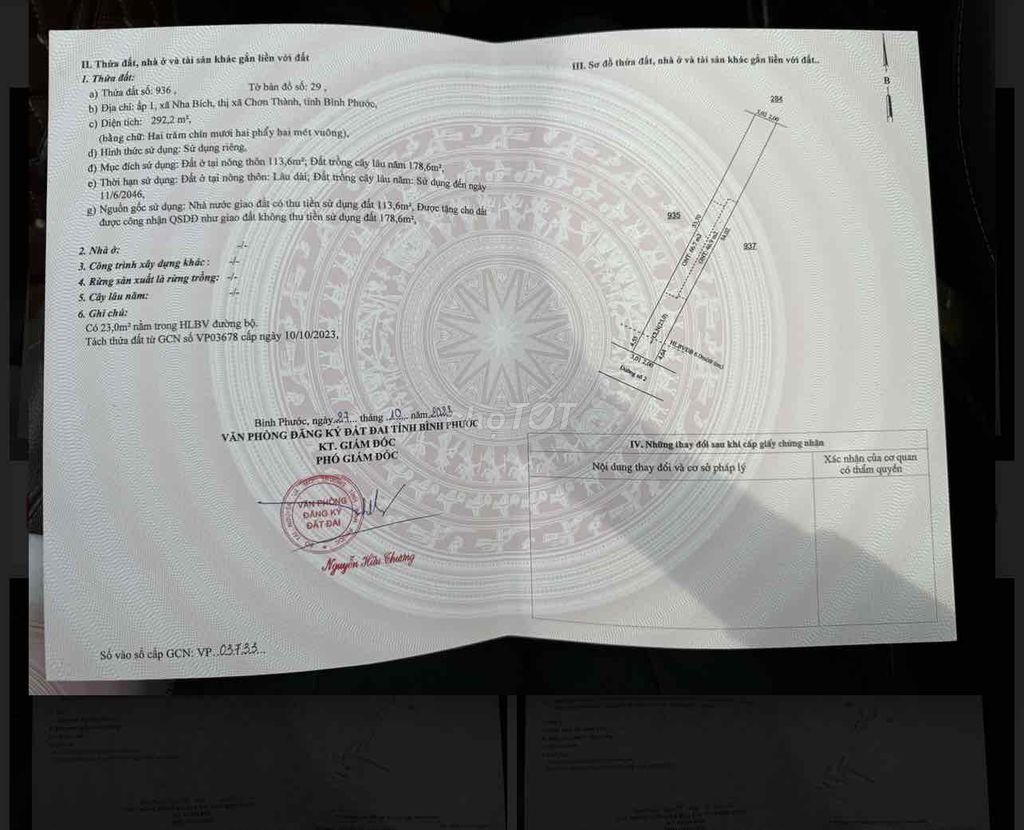4644793 ảnh đại diện 2