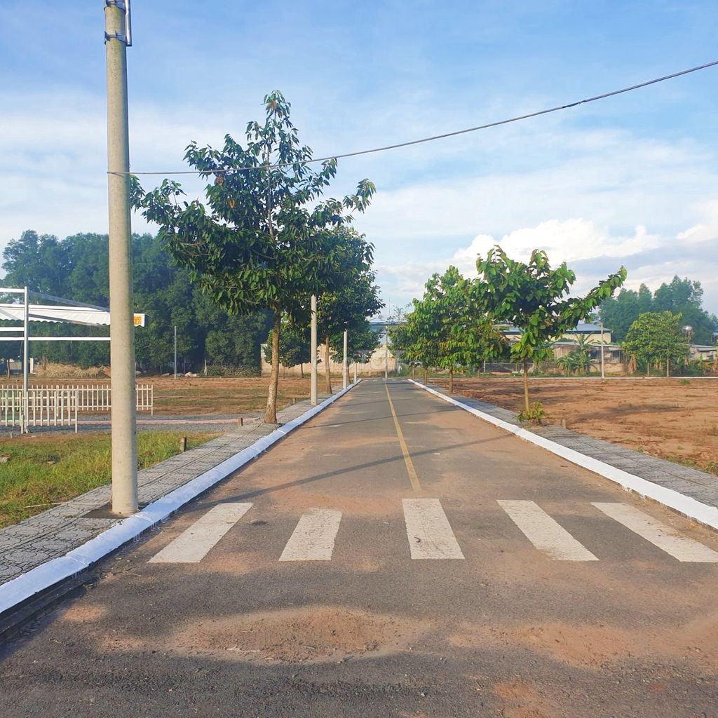 4645192 ảnh đại diện 1