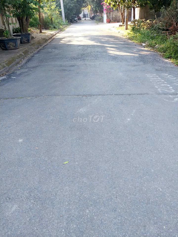 4645968 ảnh đại diện 1