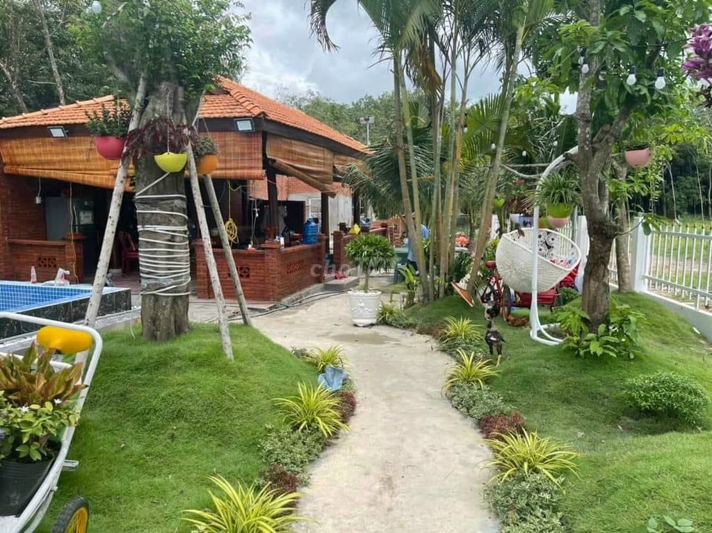 4645816 ảnh đại diện 2