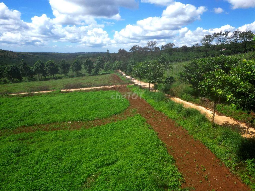 4645589 ảnh đại diện 1