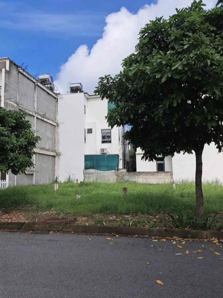4644464 ảnh đại diện 2