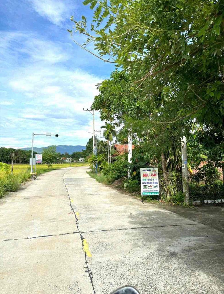 4643063 ảnh đại diện 1