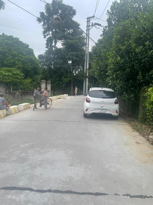 4645989 ảnh đại diện 2