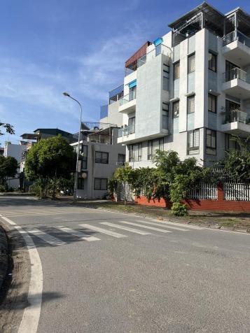 4644275 ảnh đại diện 2