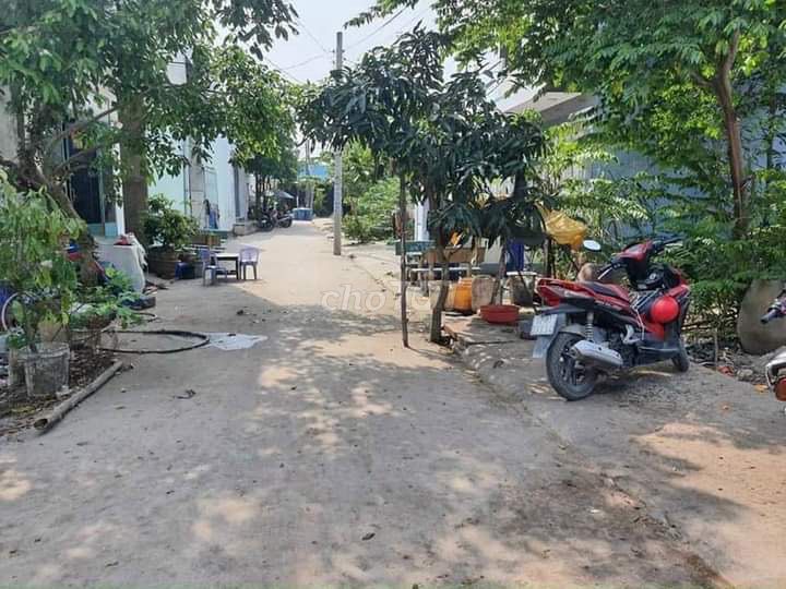 4648563 ảnh đại diện 2