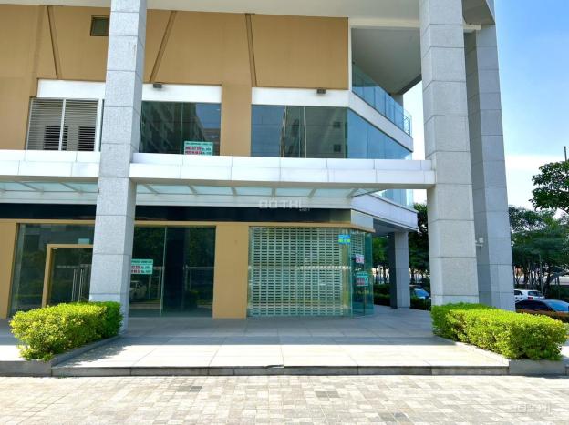 4648198 ảnh đại diện 2