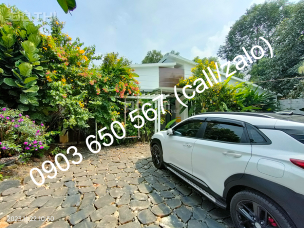4648420 ảnh đại diện 1