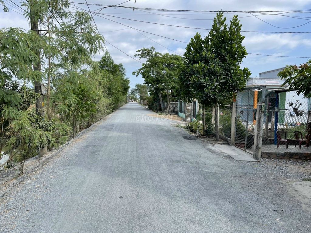 4646234 ảnh đại diện 2