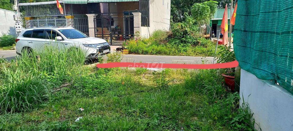 4648398 ảnh đại diện 2