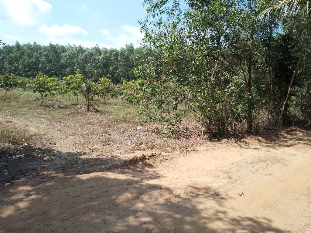 4647742 ảnh đại diện 2