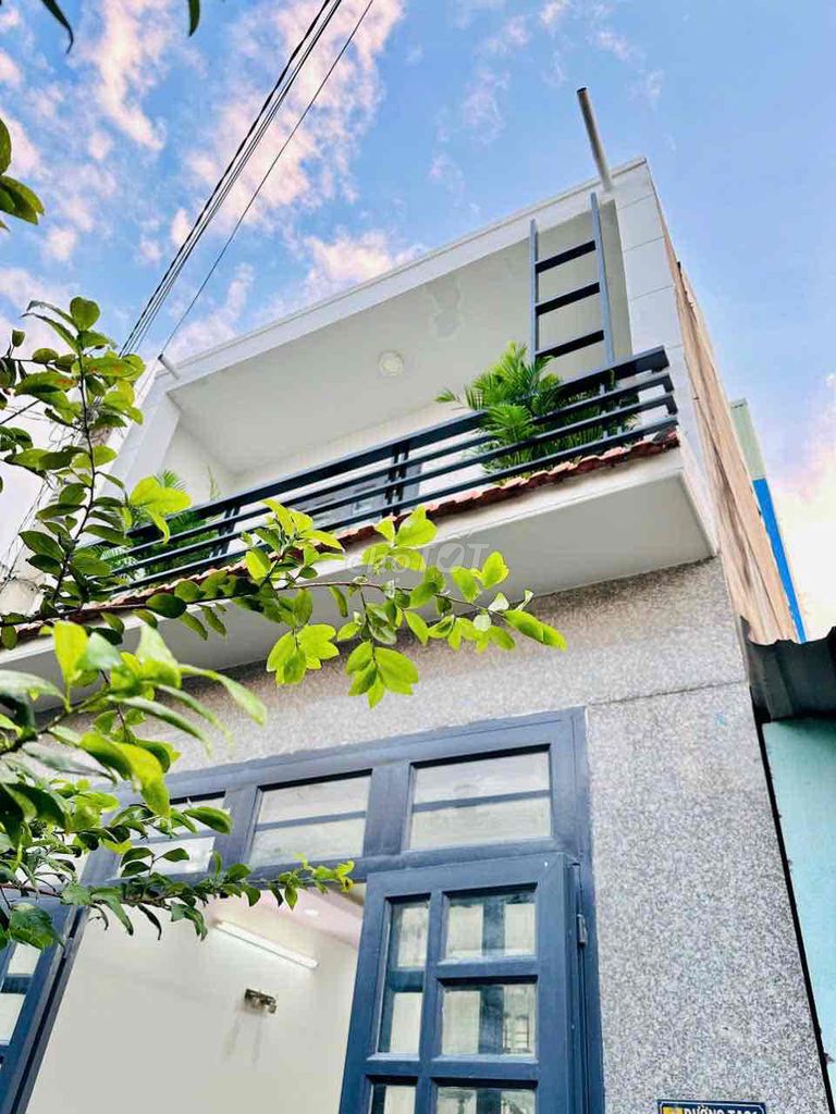 4646810 ảnh đại diện 1