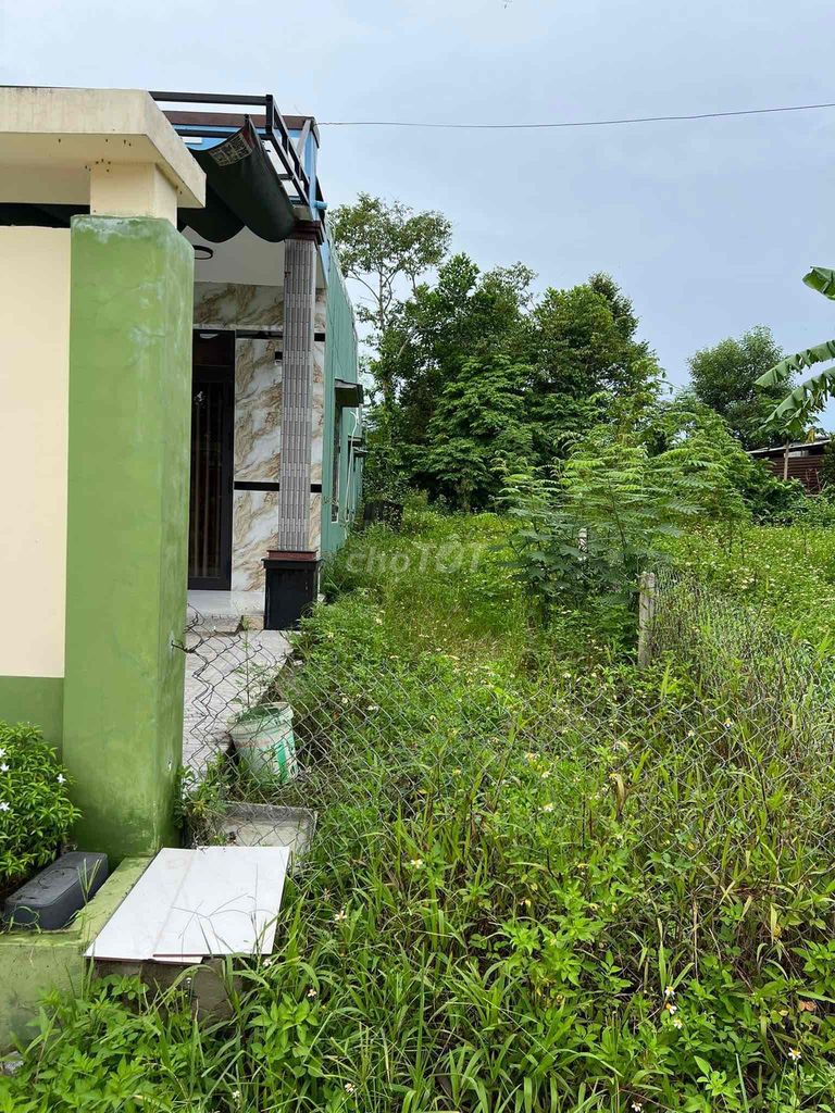4648685 ảnh đại diện 1