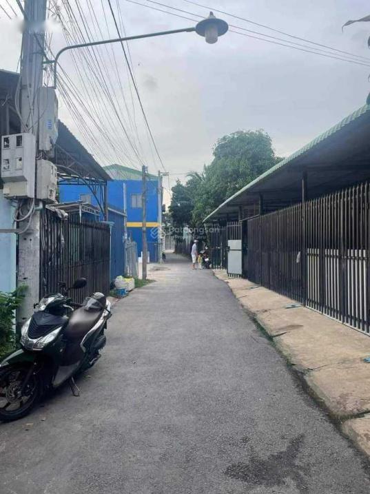 4648803 ảnh đại diện 1