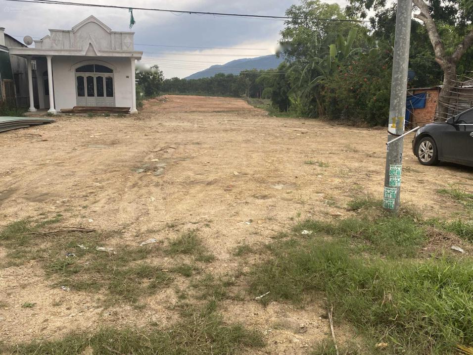 4648736 ảnh đại diện 1