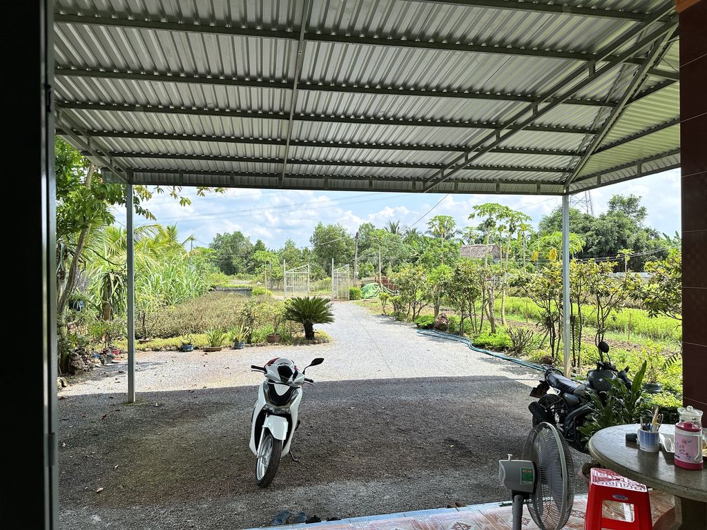 4647848 ảnh đại diện 2