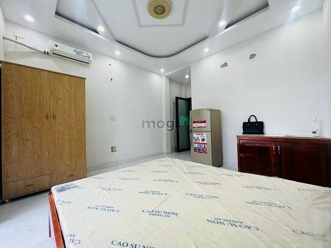 4648796 ảnh đại diện 2