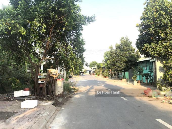 4646659 ảnh đại diện 1