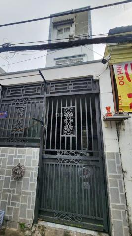 4646983 ảnh đại diện 1