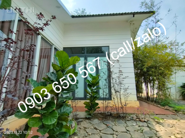 4648420 ảnh đại diện 1