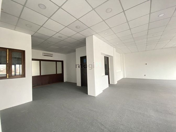 4647217 ảnh đại diện 2