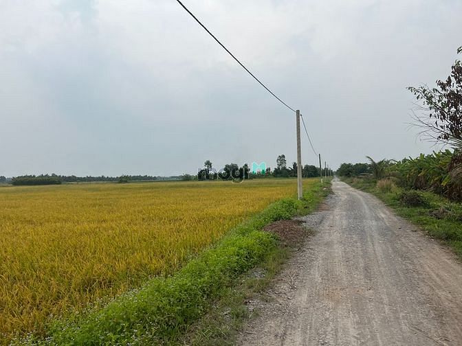 4648919 ảnh đại diện 2