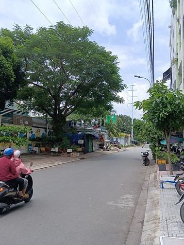 4648259 ảnh đại diện 1