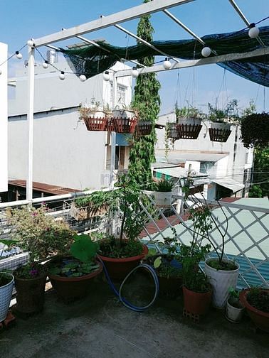 4647113 ảnh đại diện 1