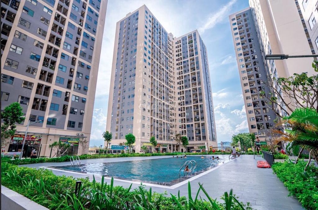 4648820 ảnh đại diện 2