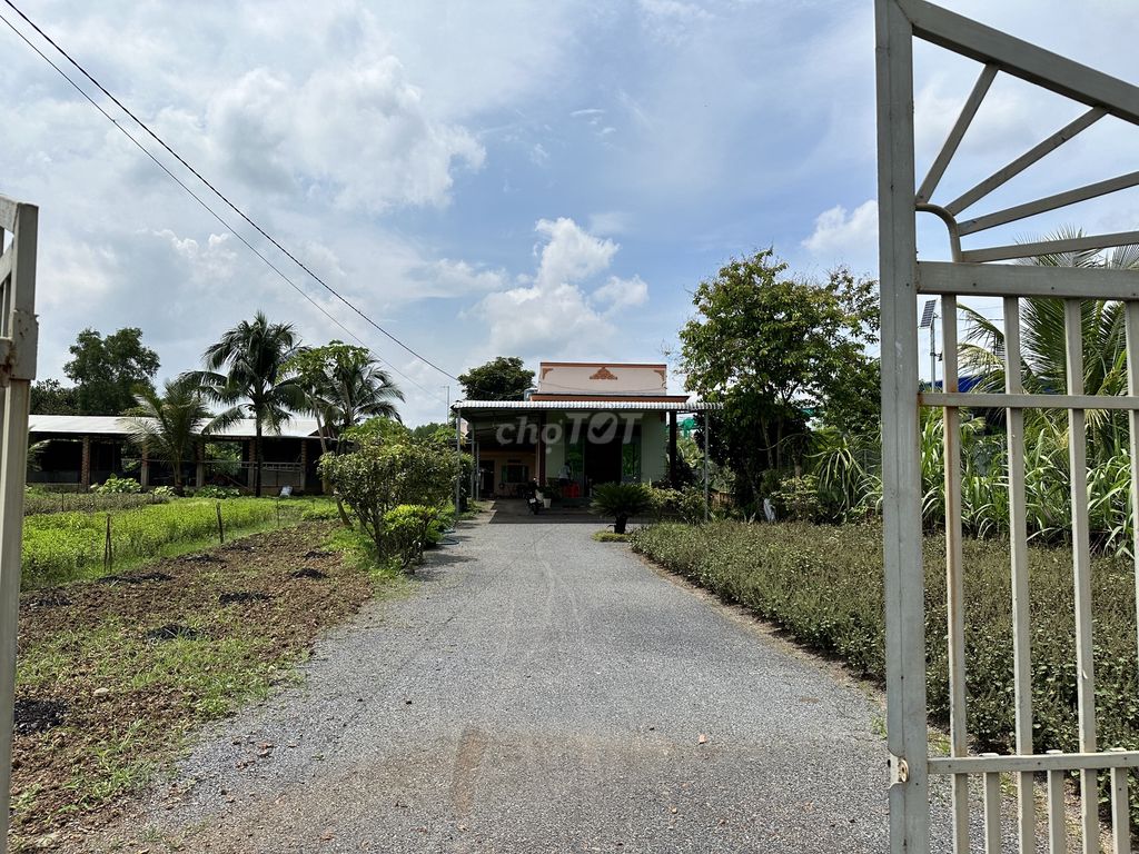4647848 ảnh đại diện 1