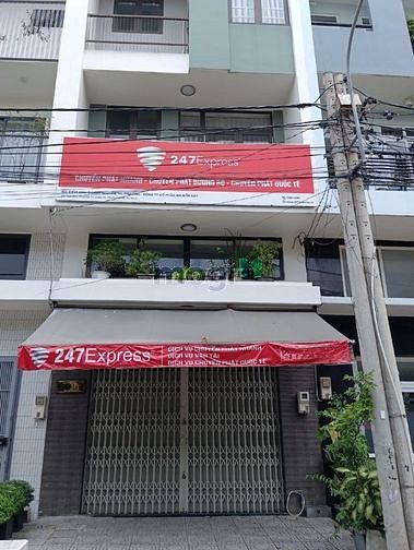 4648259 ảnh đại diện 1