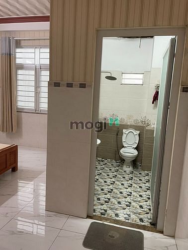 4648410 ảnh đại diện 1