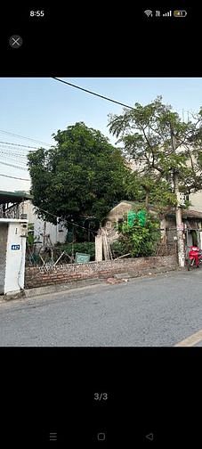4647564 ảnh đại diện 1