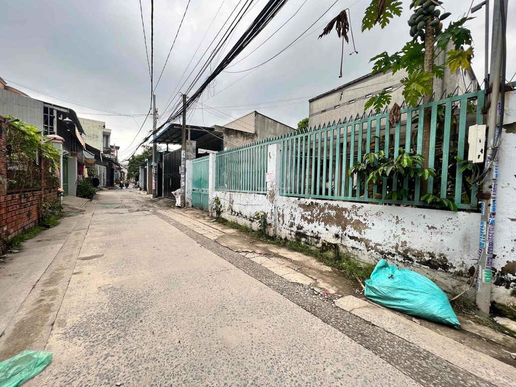 4648272 ảnh đại diện 2