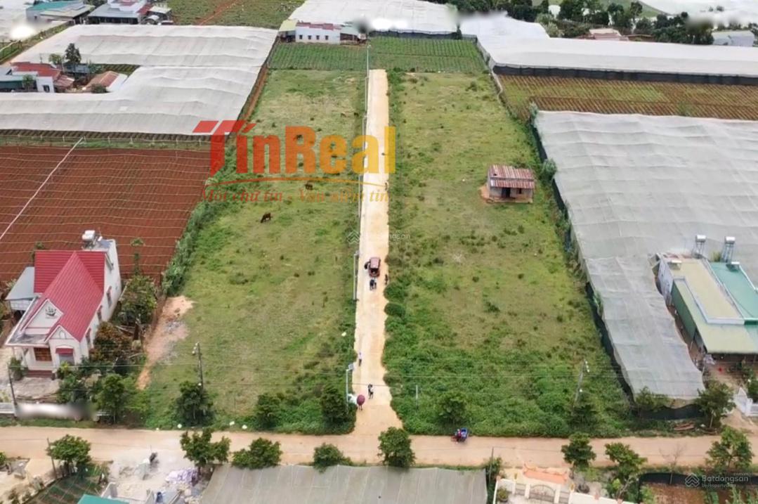 4646572 ảnh đại diện 1