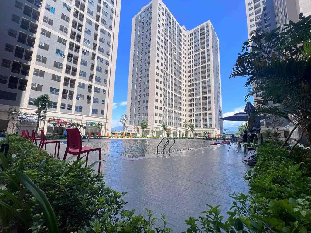4648790 ảnh đại diện 1