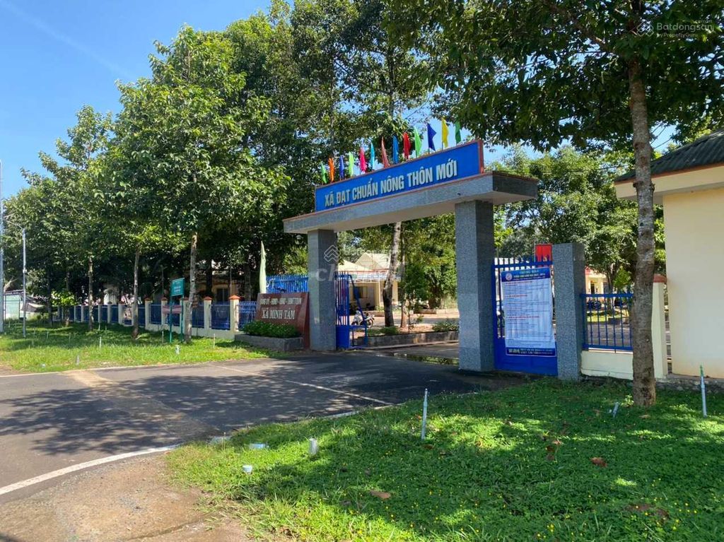 4647566 ảnh đại diện 2