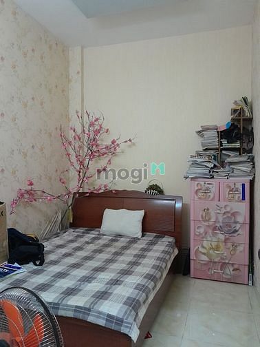 4647113 ảnh đại diện 2