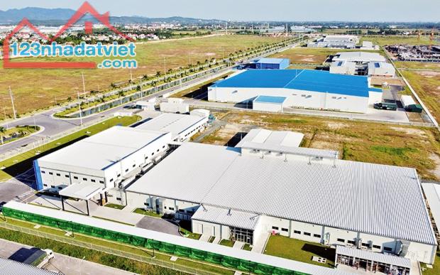 4646927 ảnh đại diện 2