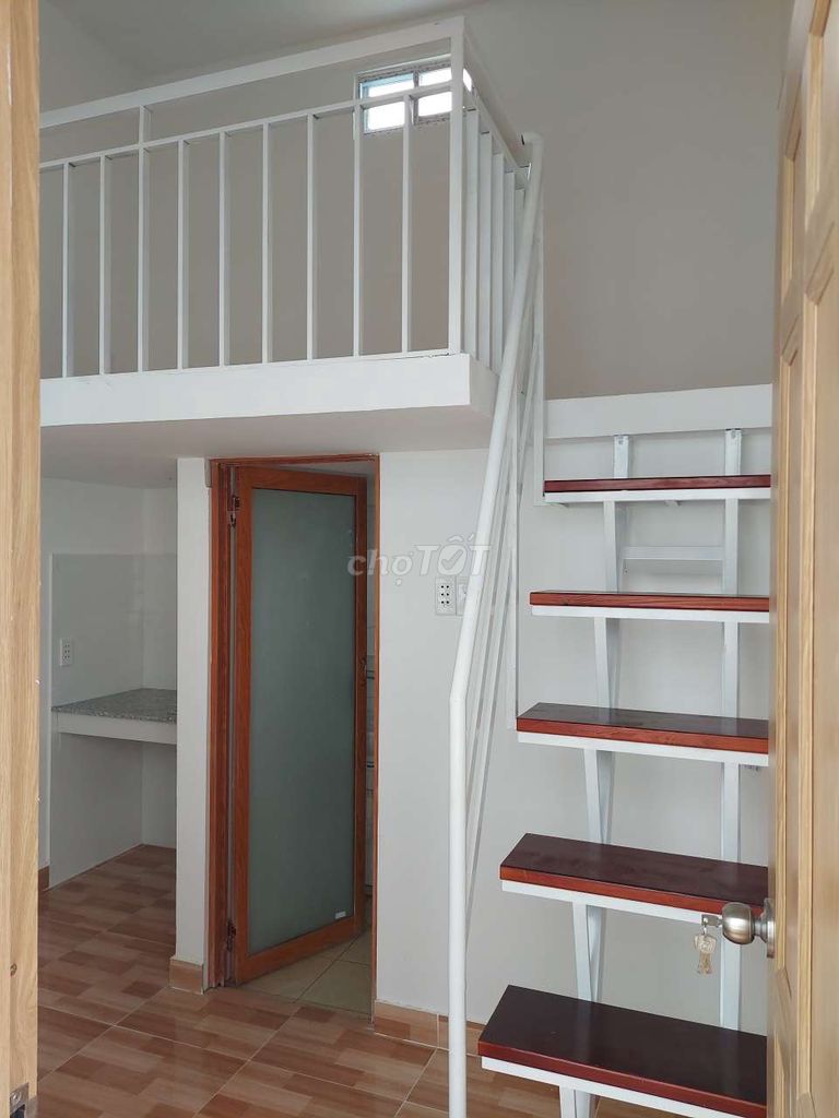 4648472 ảnh đại diện 2