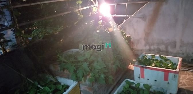 4648880 ảnh đại diện 2