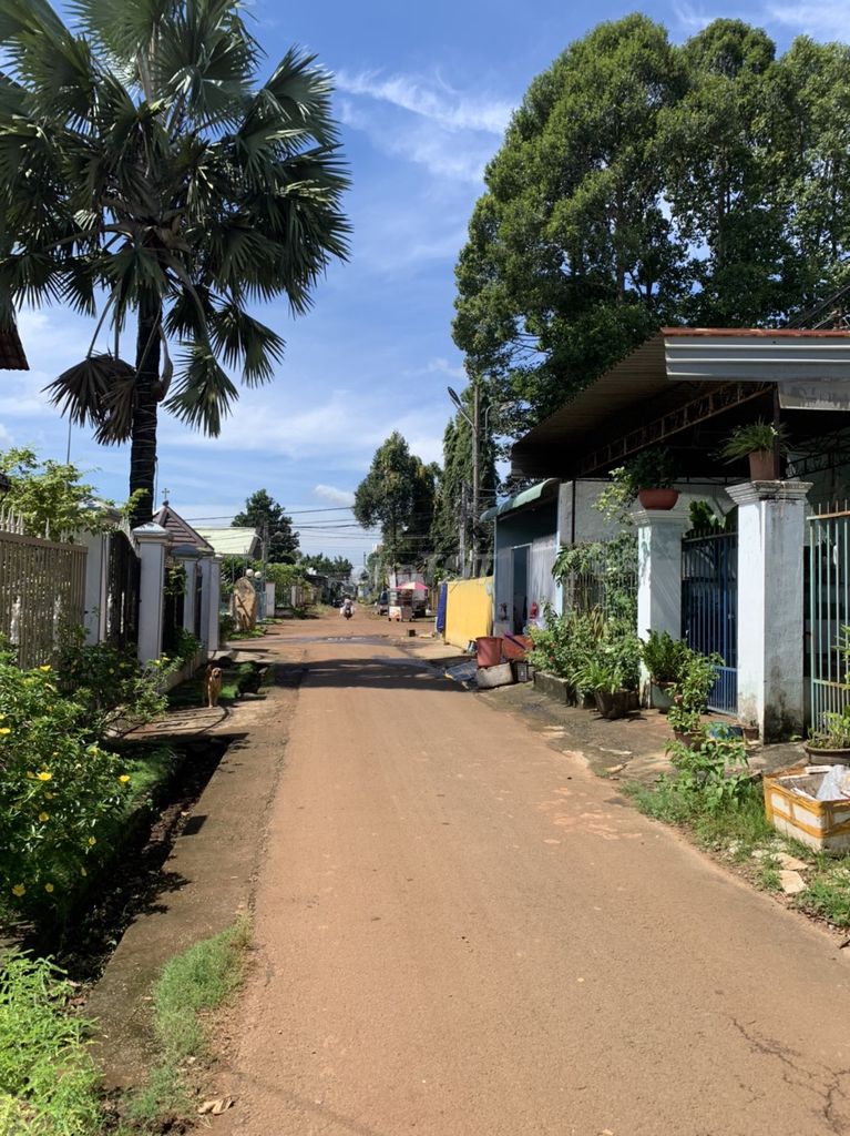 4648991 ảnh đại diện 1