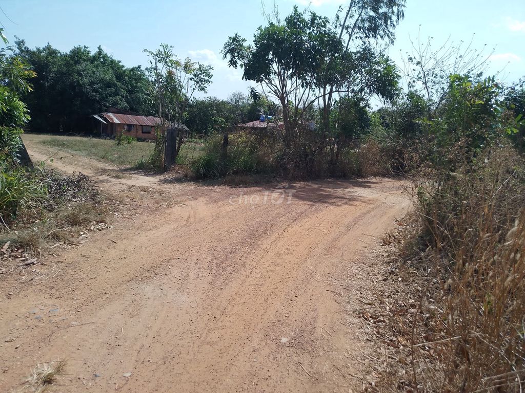 4647742 ảnh đại diện 1