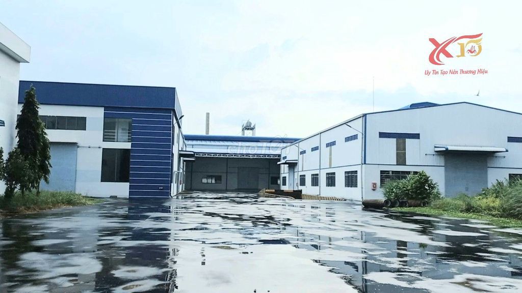 4648872 ảnh đại diện 1