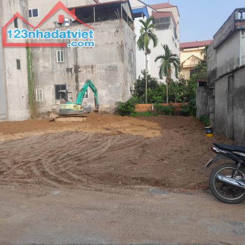 4648976 ảnh đại diện 2