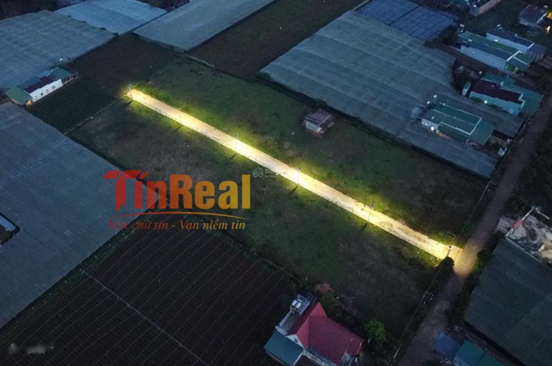 4646572 ảnh đại diện 1